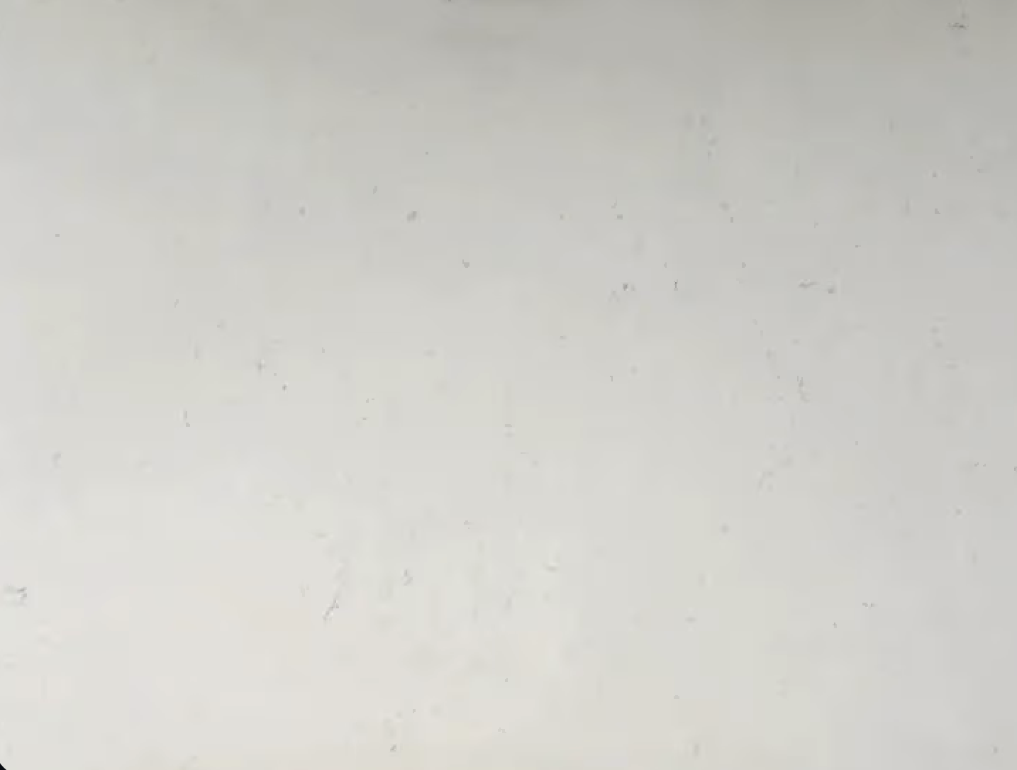 Carrara Bianco